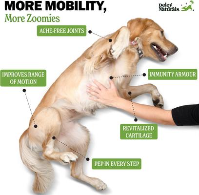 Show full view: Deley Naturals Advanced Hip & Joint Chicken Flavor Dog Supplement, 17-oz Canister, 120 Count slide 4 of 9