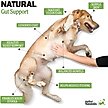 Show in main carousel: Deley Naturals Advanced Probiotic Grain-Free Chicken Flavored Dog Supplement, 17-oz Canister, 120 Count slide 3 of 8