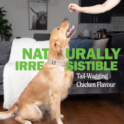 Show full view: Deley Naturals Advanced Probiotic Grain-Free Chicken Flavored Dog Supplement, 17-oz Canister, 120 Count slide 5 of 9