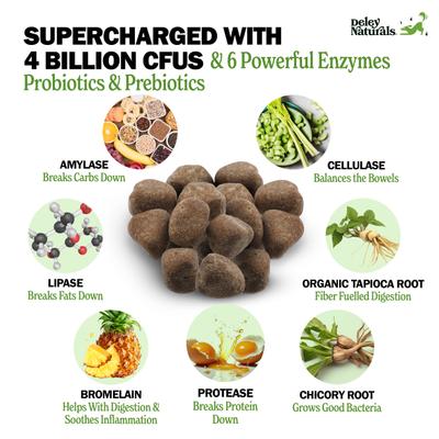 Show full view: Deley Naturals Advanced Probiotic Grain-Free Chicken Flavored Dog Supplement, 17-oz Canister, 120 Count slide 3 of 9