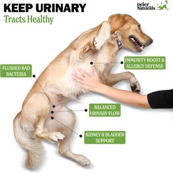 Deley Naturals Advanced Urinary Tract Chicken Flavor Dog Supplement, 17-oz Canister, 120 Count slide 2 of 6