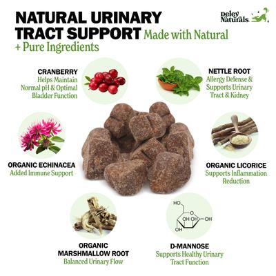 Show full view: Deley Naturals Advanced Urinary Tract Chicken Flavor Dog Supplement, 17-oz Canister, 120 Count slide 3 of 8