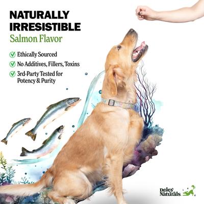 Show full view: Deley Naturals Omega Salmon Flavored Skin & Coat Chews Supplement for Dogs, 9.525-oz canister, 90 count slide 5 of 8