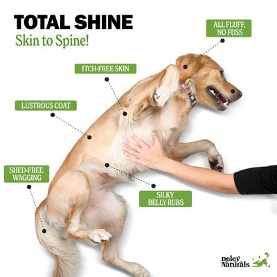 Show full view: Deley Naturals Omega Salmon Flavored Skin & Coat Chews Supplement for Dogs, 9.525-oz canister, 90 count slide 4 of 8