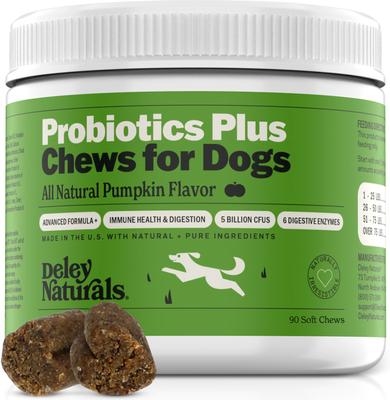 Show full view: Deley Naturals Probiotic Plus Pumpkin Flavored Chews Supplement for Dogs, 9.525-oz carton, 90 count slide 1 of 8