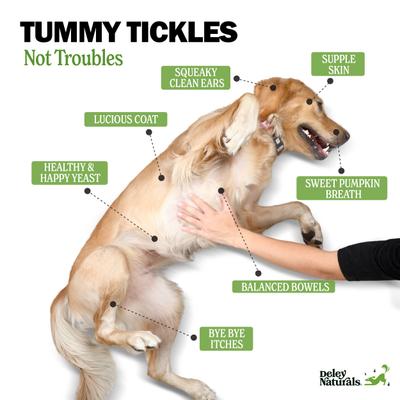 Show full view: Deley Naturals Probiotic Plus Pumpkin Flavored Chews Supplement for Dogs, 9.525-oz carton, 90 count slide 4 of 8