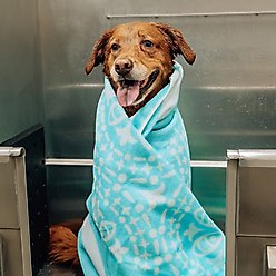 Delilah Home Drytek High Performance Pet Towel, X-Large, Black slide 2 of 6