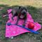 Show in main carousel: Delilah Home Drytek High Performance Pet Towel, X-Large, Pink slide 5 of 10