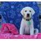 Show in main carousel: Delilah Home Drytek High Performance Pet Towel, X-Large, Pink slide 6 of 10
