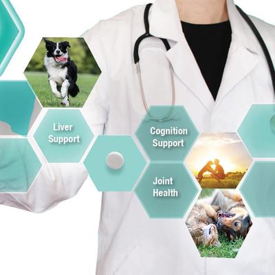 Show full view: Denestra SAMe 200mg Tablet Liver & Joint Supplement for Dogs, 60 count slide 6 of 8