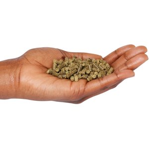 Dennerle Shrimp King Protein Food Sticks Shrimp Food, 1.6-oz