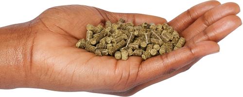 Show full view: Dennerle Shrimp King Protein Food Sticks Shrimp Food, 1.6-oz slide 3 of 3