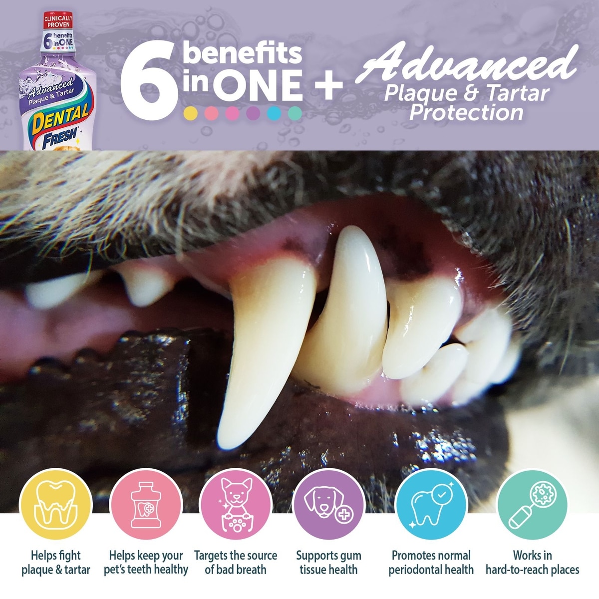 Dental Fresh Advanced Plaque Tartar Water Additive for Dogs