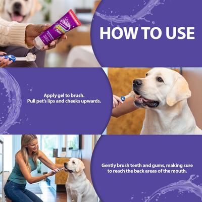 Show full view: Dental Fresh Enzymatic Gel Finger Dog Toothbrush Kit, 2.5-fl oz  slide 6 of 7