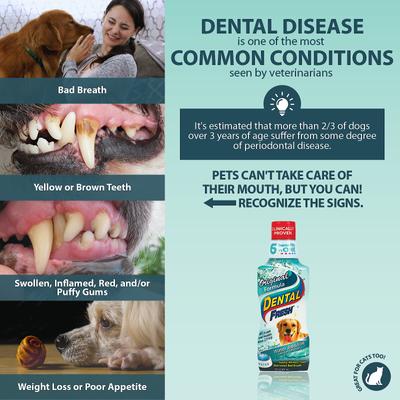 Show full view: Dental Fresh Original Formula Dog & Cat Dental Water Additive, 8-fl oz bottle slide 5 of 10