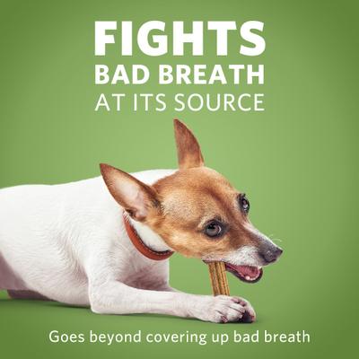 Show full view: DentaLife ActivFresh Daily Oral Care Mini Dental Dog Treats, 21 count slide 5 of 11