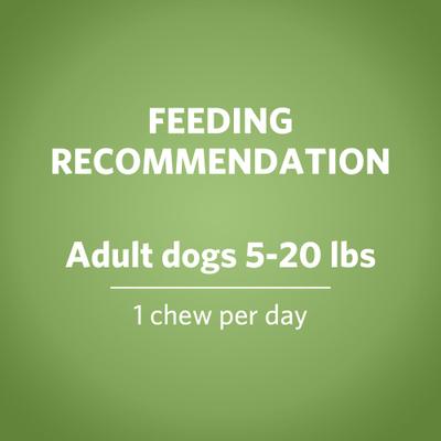 Show full view: DentaLife ActivFresh Daily Oral Care Mini Dental Dog Treats, 90 count slide 9 of 11