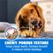 Show in main carousel: DentaLife Daily Oral Care Chicken Flavor Large Adult Dental Dog Treats, 90 count bundle slide 7 of 10