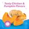 Show in main carousel: DentaLife Plus Digestive Support Chicken & Pumpkin Flavor Large Dental Dog Treats, 19 count (original) slide 6 of 12