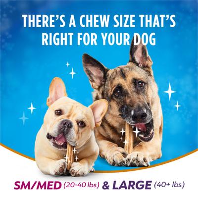 Show full view: DentaLife Plus Immune Support Chicken, Apple & Blueberry Flavor Large Dog Dental Treats, 6 count slide 8 of 10