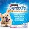 Show in main carousel: DentaLife Plus Immune Support Chicken, Apple & Blueberry Flavor Small/Medium Dental Dog Treats, 19 count (original) slide 4 of 12