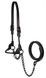 Derby Originals Bronze Beauty Premium Round Rolled Leather Cattle Show Halter & Chain Lead, Black, Large