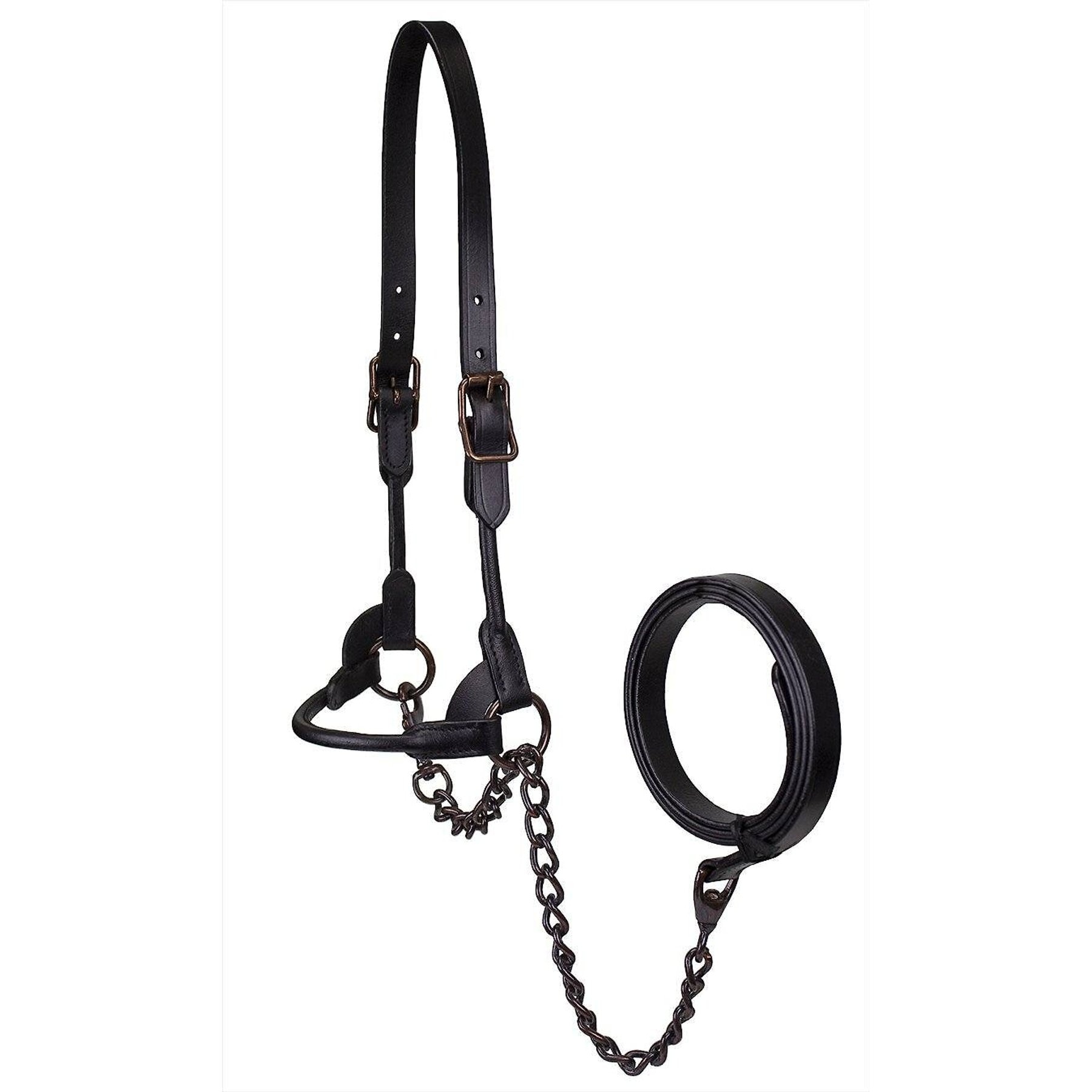 Derby Originals Bronze Beauty Premium Round Rolled Leather Cattle Show Halter & Chain Lead, Black, Medium