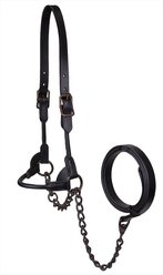Derby Originals Bronze Beauty Premium Round Rolled Leather Cattle Show Halter & Chain Lead, Black, Small
