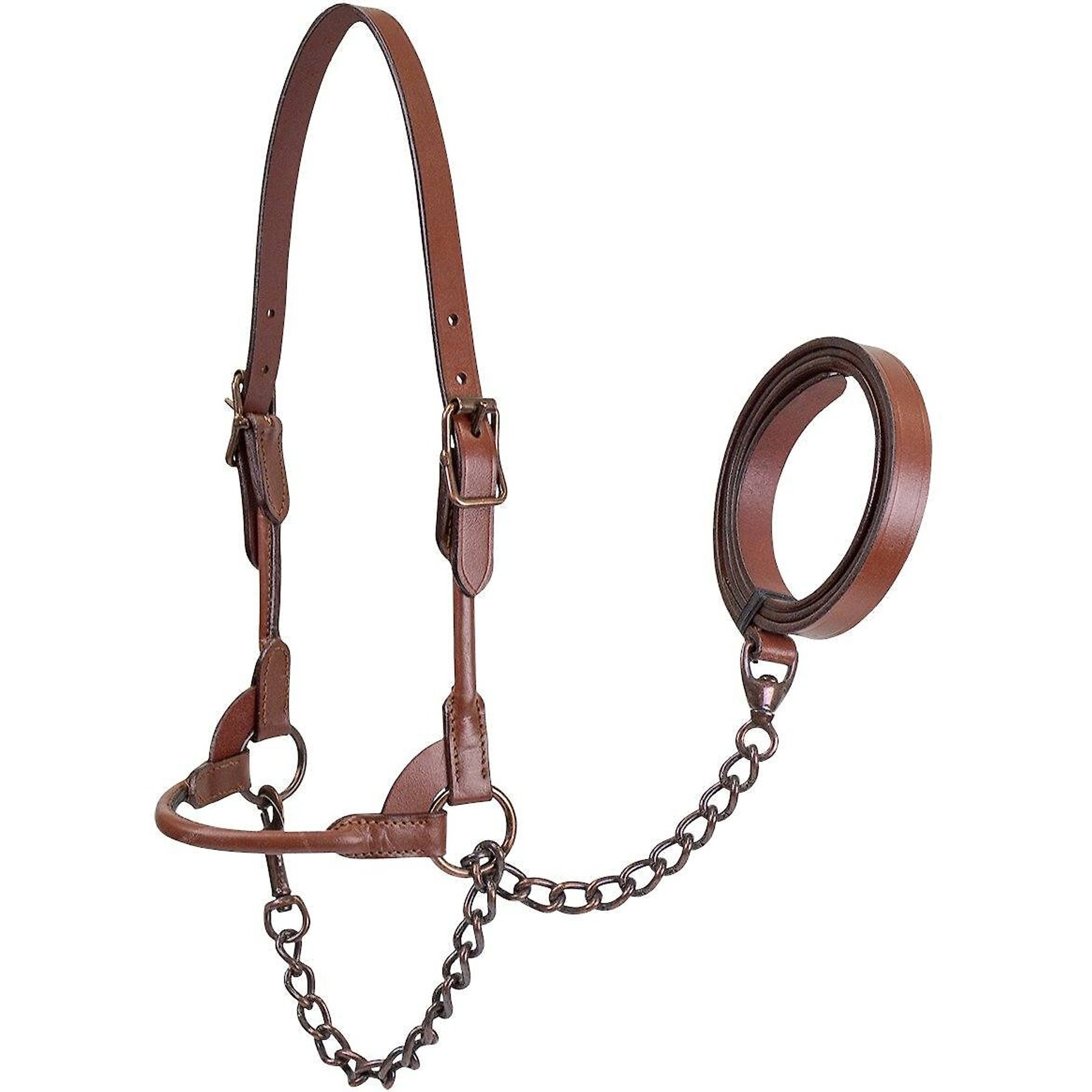 Derby Originals Bronze Beauty Premium Round Rolled Leather Cattle Show Halter & Chain Lead, Chestnut, Medium