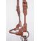 Show in main carousel: Derby Originals Bronze Beauty Premium Round Rolled Leather Cattle Show Halter & Chain Lead, Chestnut, Medium slide 2 of 3