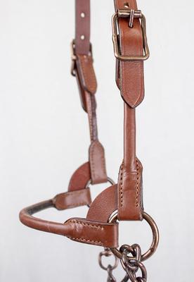 Show full view: Derby Originals Bronze Beauty Premium Round Rolled Leather Cattle Show Halter & Chain Lead, Chestnut, Medium slide 2 of 3