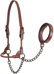 Derby Originals Bronze Beauty Premium Round Rolled Leather Cattle Show Halter & Chain Lead, Chestnut, Small