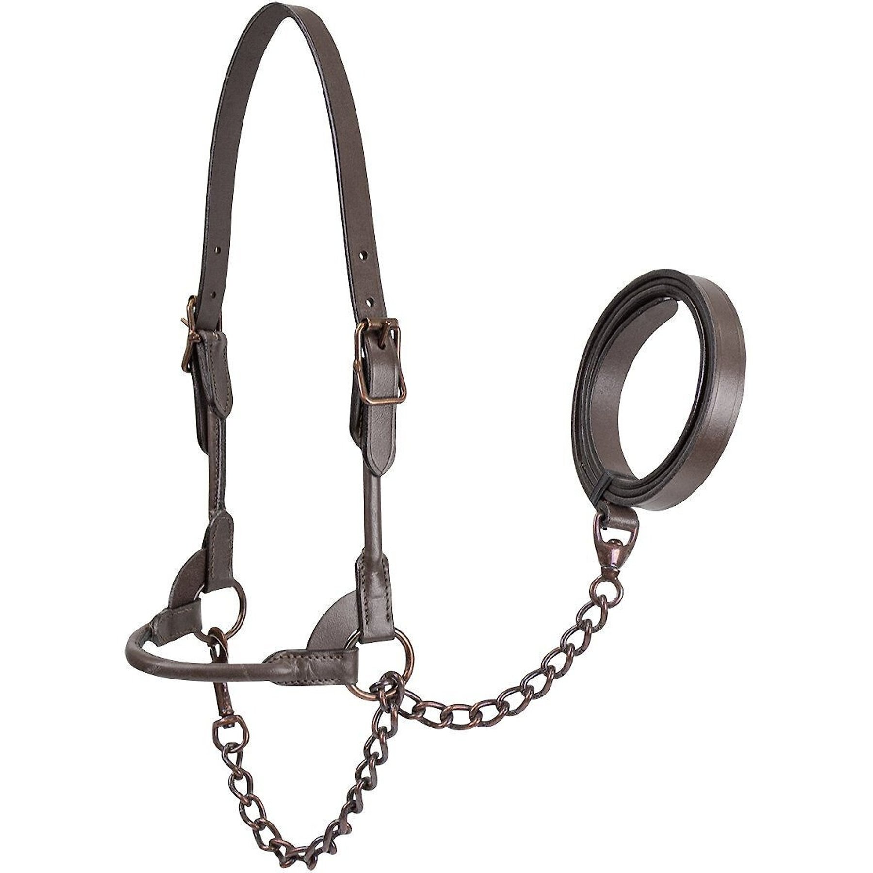 Derby Originals Bronze Beauty Premium Round Rolled Leather Cattle Show Halter & Chain Lead, Havana, Medium