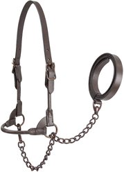 Derby Originals Bronze Beauty Premium Round Rolled Leather Cattle Show Halter & Chain Lead, Havana, Small