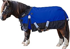 Derby Originals Classic Nordic-Tough 600D Ripstop Waterproof Winter Mediumweight Mini Horse & Pony Turnout Blanket, Royal Blue with Black Trim, 54-in