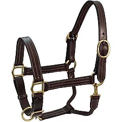 Derby Originals Coventry Triple Stitch Adjustable Leather Horse Halter, Dark Brown, Cob