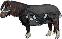 Derby Originals Extreme Elements Nordic-Tough 1200D Ripstop Waterproof Winter Heavyweight Mini Horse & Pony Turnout Blanket, Turquoise with Black Trim, 36-in slide 2 of 4