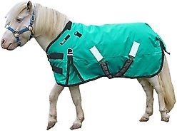 Derby Originals Extreme Elements Nordic-Tough 1200D Ripstop Waterproof Winter Heavyweight Mini Horse & Pony Turnout Blanket, Turquoise with Black Trim, 56-in