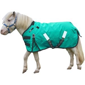 Derby Originals Extreme Elements Nordic-Tough 1200D Ripstop Waterproof Winter Heavyweight Mini Horse & Pony Turnout Blanket, Turquoise with Black Trim, 58-in