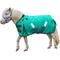 Show in main carousel: Derby Originals Extreme Elements Nordic-Tough 1200D Ripstop Waterproof Winter Heavyweight Mini Horse & Pony Turnout Blanket, Turquoise with Black Trim, 62-in slide 1 of 4