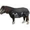Show in main carousel: Derby Originals Extreme Elements Nordic-Tough 1200D Ripstop Waterproof Winter Heavyweight Mini Horse & Pony Turnout Blanket, Turquoise with Black Trim, 62-in slide 2 of 4