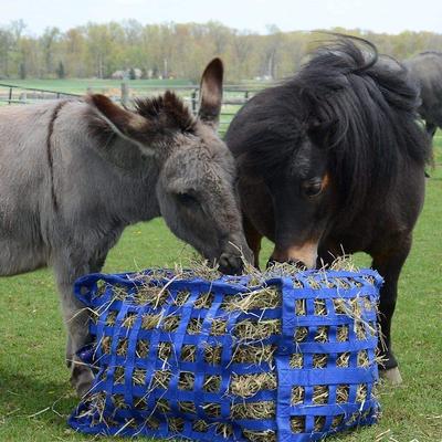 Show full view: Derby Originals Natural Grazer Patented Four-Sided Slow Feed Horse Hay Bag, Black slide 3 of 4