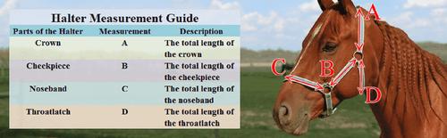 Show full view: Derby Originals Patriotic Nylon Horse Halter, Full slide 2 of 2