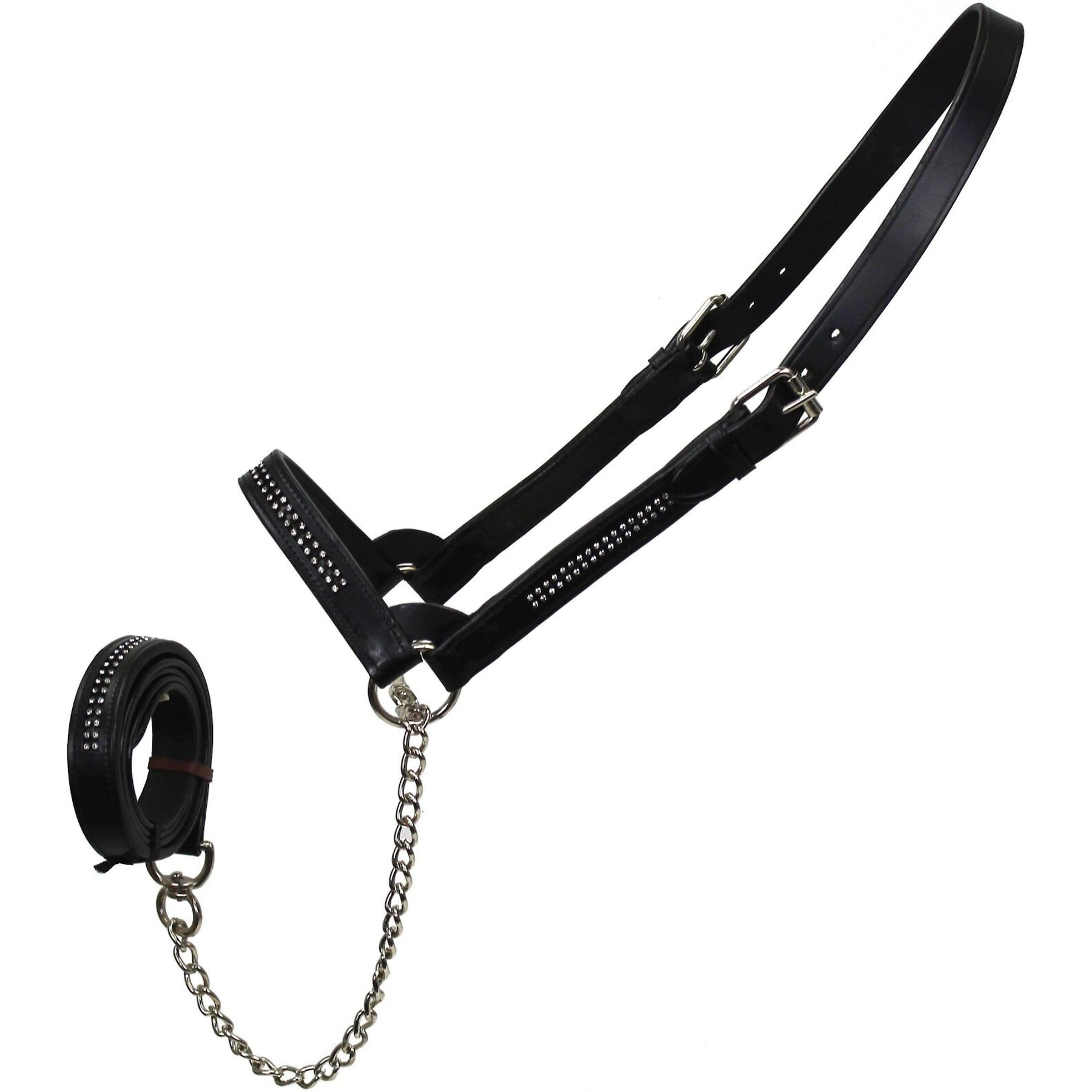 Derby Originals Premium Crystal Bling Rhinestone Inlay Flat Leather Cattle Show Halter & Chain Lead, Black, Large