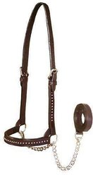 Derby Originals Premium Crystal Bling Rhinestone Inlay Flat Leather Cattle Show Halter & Chain Lead, Havana, Medium