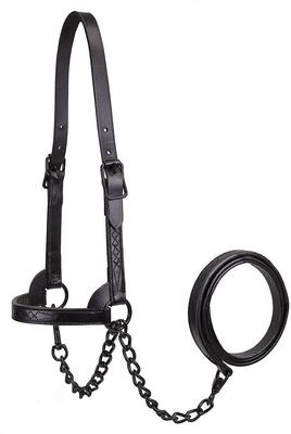 Show full view: Derby Originals Premium Flat Fancy Stitch Leather Cattle Show Halter & Chain Lead, Black, Large slide 2 of 3