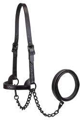 Derby Originals Premium Flat Fancy Stitch Leather Cattle Show Halter & Chain Lead, Black, Medium