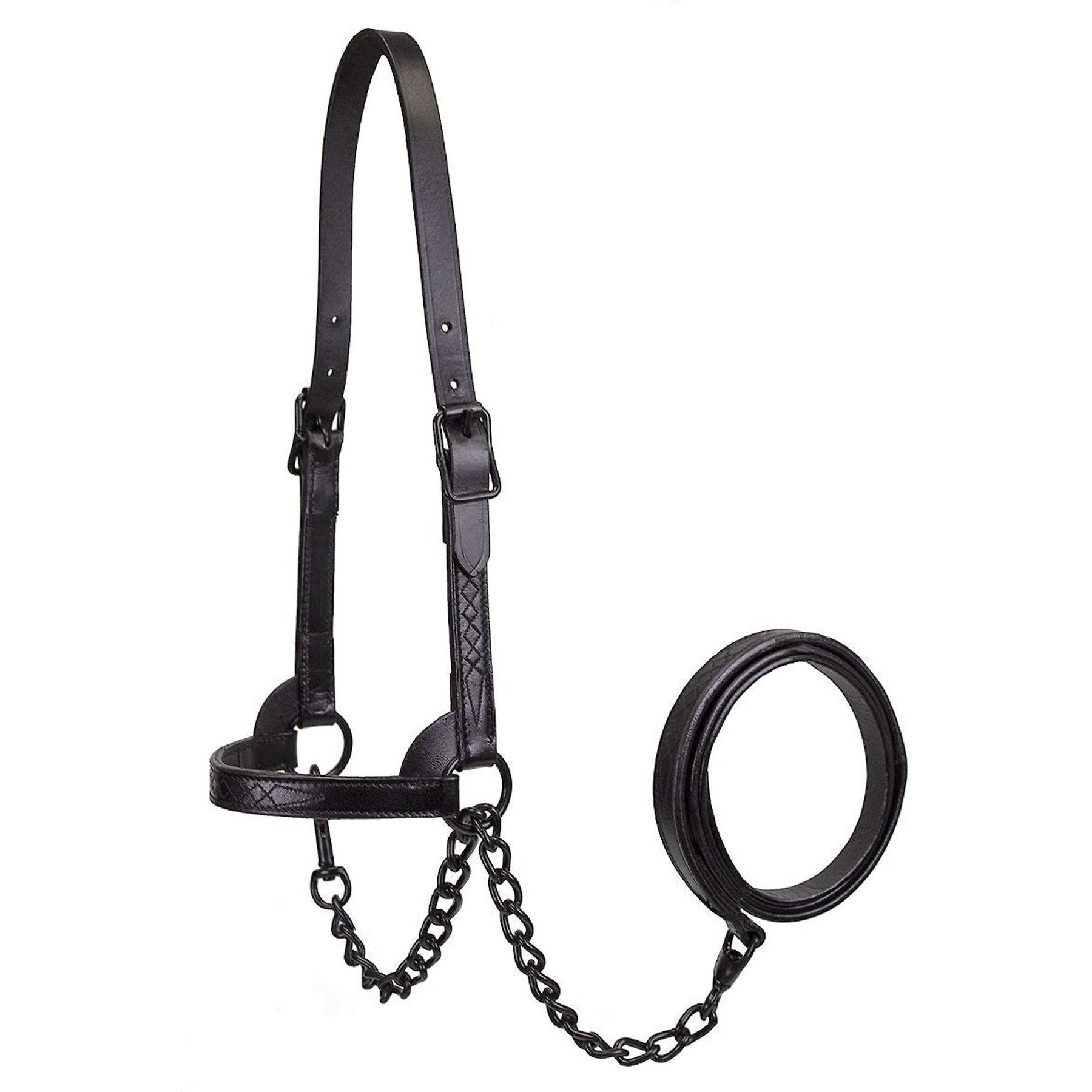 Derby Originals Premium Flat Fancy Stitch Leather Cattle Show Halter & Chain Lead, Black, Medium