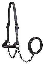 Derby Originals Premium Flat Fancy Stitch Leather Cattle Show Halter & Chain Lead, Black, Small