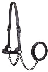 Derby Originals Premium Flat Fancy Stitch Leather Cattle Show Halter & Chain Lead, Black, Small slide 2 of 3
